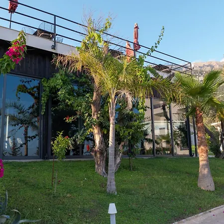 Domi Valley ديرمي