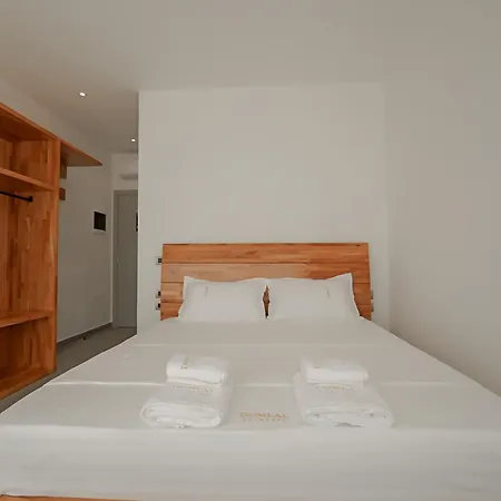 Domi Drymades דרמי