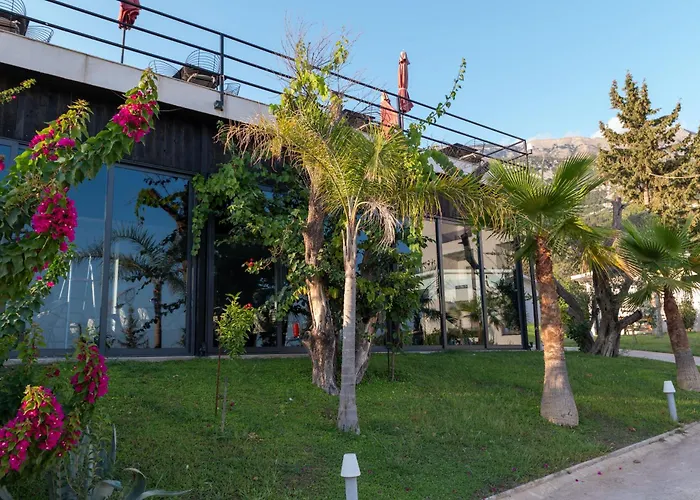 Domi Drymades Дхерми